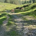 Heidi-alm-amelie Am Praebichl