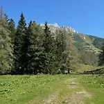 Heidi-alm-amelie Am Praebichl Apartman Vordernberg