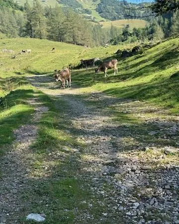 Heidi-alm-amelie Am Praebichl