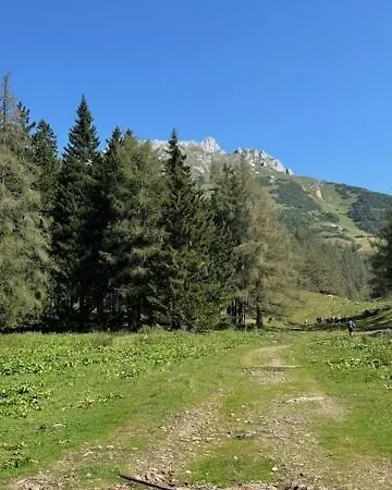 Heidi-alm-amelie Am Praebichl شقة Vordernberg