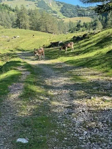 Heidi-alm-amelie Am Praebichl
