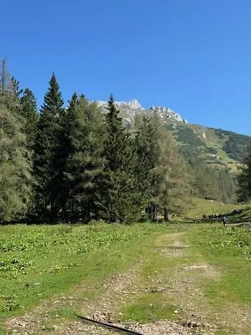 Heidi-alm-amelie Am Praebichl Apartmán Vordernberg