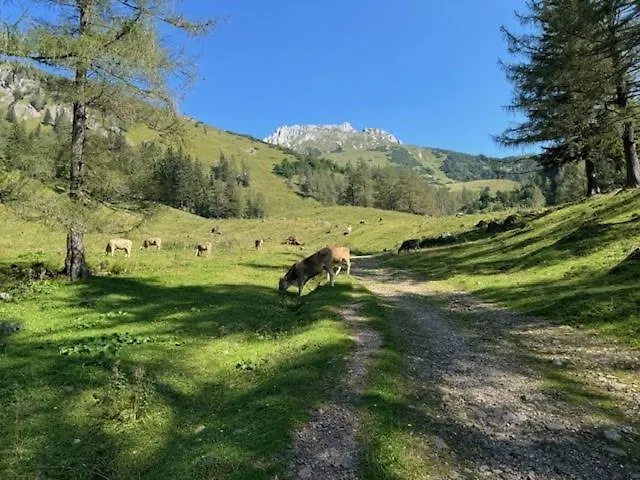 Heidi-alm-amelie Am Praebichl